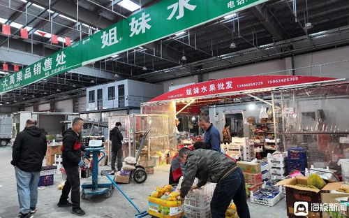 打造“超級(jí)菜籃子” 禹城智慧冷鏈物流產(chǎn)業(yè)園煥新區(qū)域農(nóng)產(chǎn)品流通格局